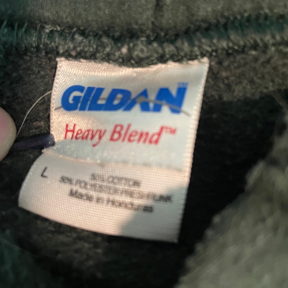 Gildan Green Oregon Ducks hoodie